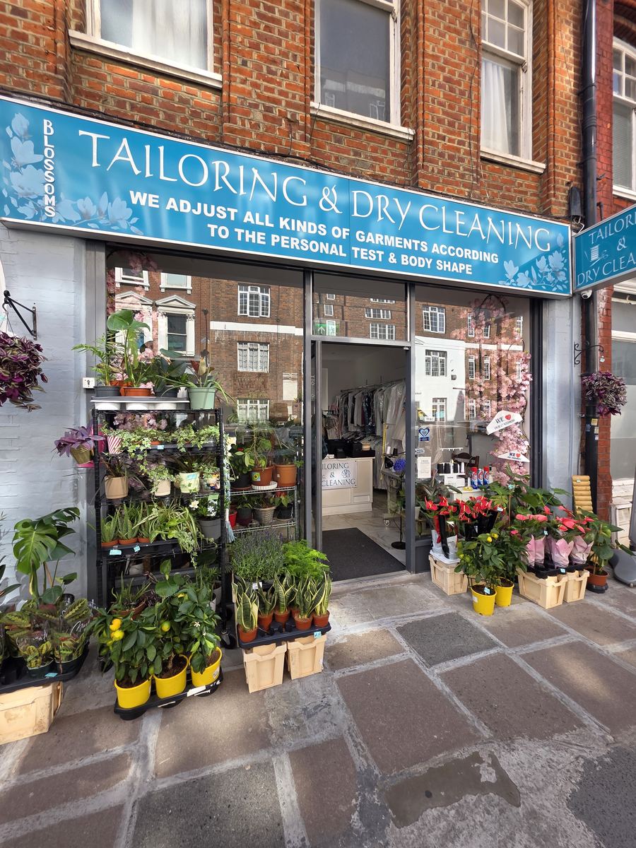 The Blossoms shopfront on Charleville Road, its blue Tailoring & Dry Cleaning sign above a display of plants