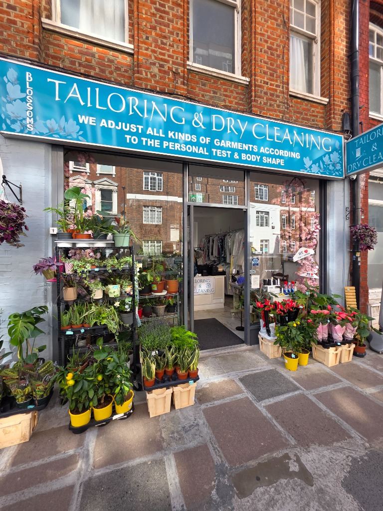 A closer view of the plant display outside the Blossoms shopfront